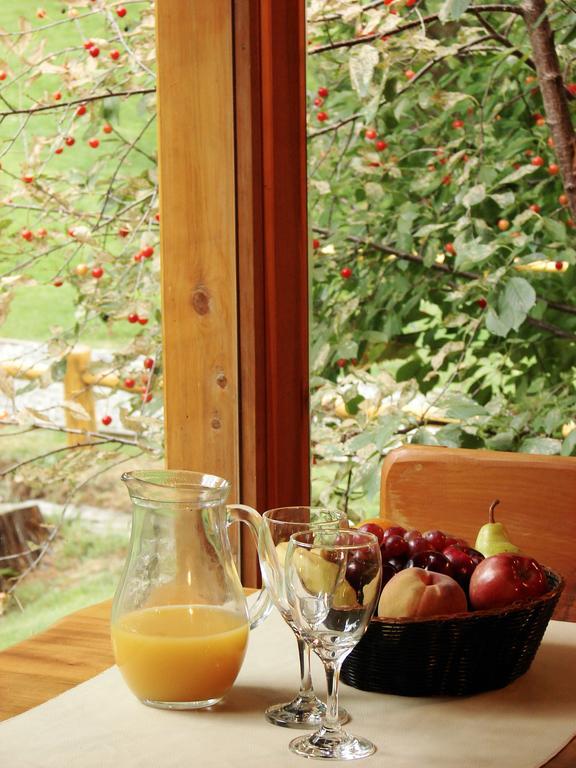 Villa Sofia Resort & Spa San Carlos de Bariloche Eksteriør billede